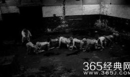 人体蜈蚣3在线观看完整版,惊悚极限，生死较量